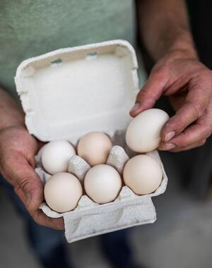 Primo piano di mani che tengono una confezione aperta di uova di gallina.