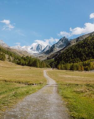 Wanderweg durch das Pfossental in Schnals mit grünen Almwiesen und teilweise schneebedeckten Berggipfeln im Hintergrund.