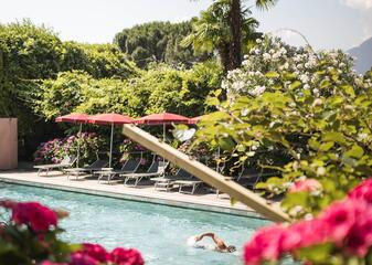 Mann schwimmt im Außenpool mit roten Blumen im Vordergrund und Terrasse mit Liegen, Sonnenschirmen und Pflanzen im Hintergrund.